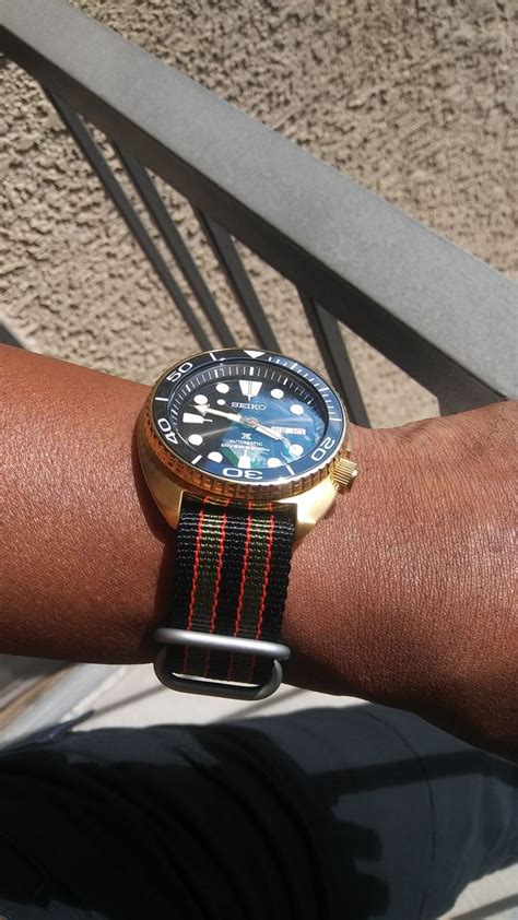 rolex watches in arizona